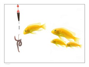 时序预测